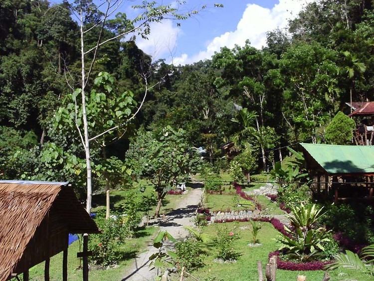 Bukit Lawang wwwsumatraindonesiacombukitlawangviewjpg