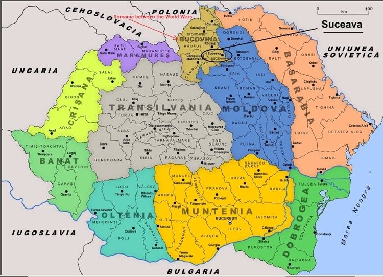 A map showing the administrative divisions of Romania in 1930.