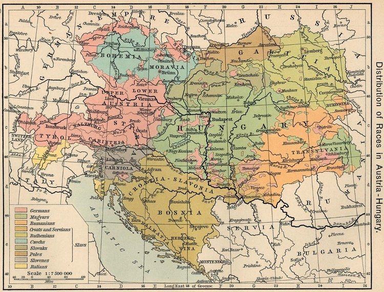 This picture shows the ethnic groups of Austria-Hungary in 1910 according to the Distribution of Races in Austria-Hungary by William R. Shepherd, 1911. Each color in this diagram represents an ethnic group. Pink is for Germans, green is for Magyars, light orange is for Rumanians, orange is for Croats and Servians, light green is for Ruthenians, light blue is for Czechs, olive green is for Slovaks, brown is for Poles, gray is for Slovenes, and yellow is for Italians.