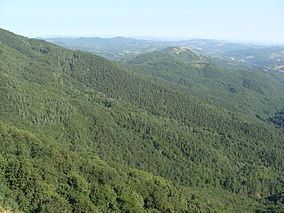 Bulgarka Nature Park httpsuploadwikimediaorgwikipediacommonsthu