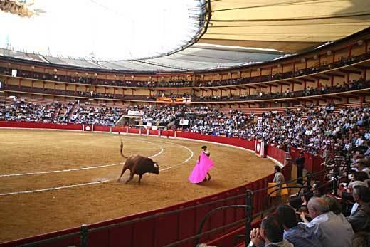 Bullring Bull Fighting Bull Fighting Ring