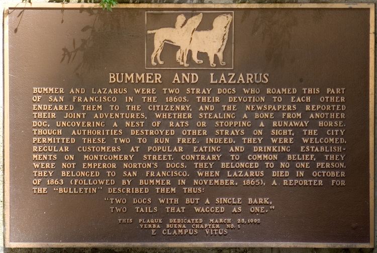 Bummer and Lazarus FileBummer and Lazarus Plaquejpg Wikipedia