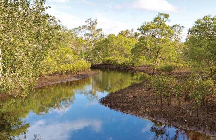 Bundjalung National Park Canoe Evans River paddle route NSW National Parks