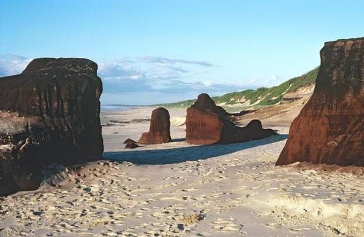 Bundjalung National Park Bundjalung National Park Tropical North Coast Explore Australia