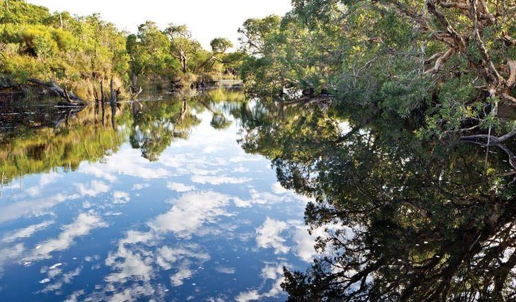 Bundjalung National Park Jerusalem Creek walk NSW National Parks