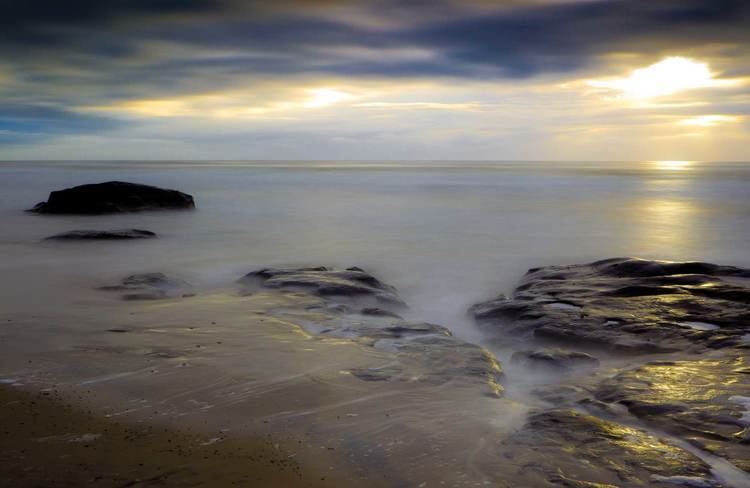 Bundjalung National Park wwwnationalparksnswgovaumedia435731E8246D4