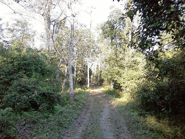 Bura Chapori Wildlife Sanctuary