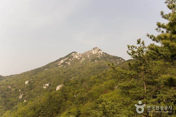Buramsan Buramsan Mountain Official Korea Tourism Organization