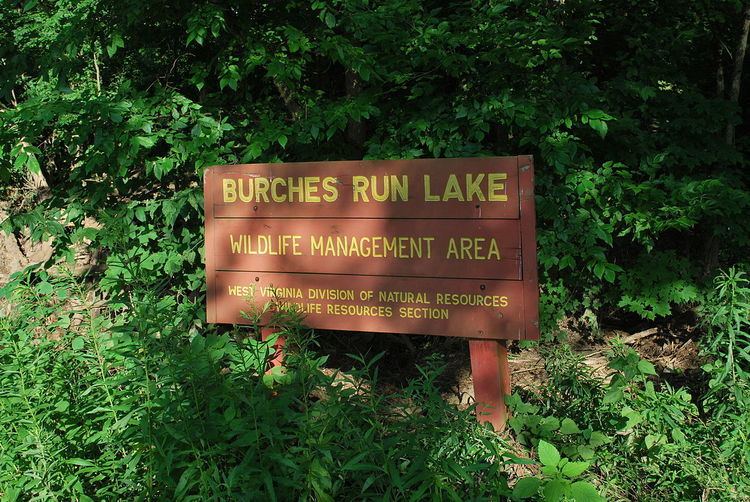 Burches Run Wildlife Management Area