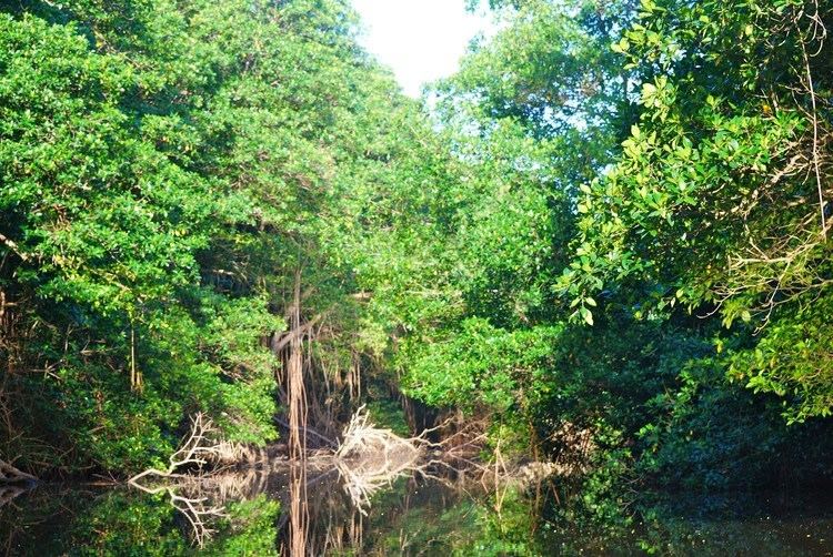 Burdon Canal Nature Reserve httpsforsythaudubonfileswordpresscom201401