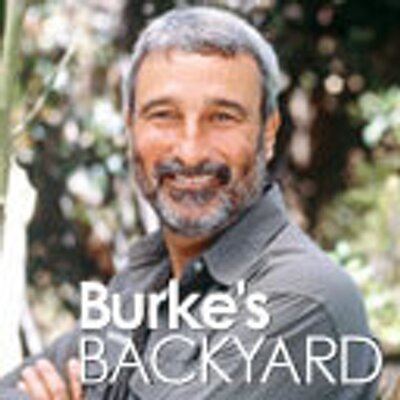 Burke's Backyard httpspbstwimgcomprofileimages1552741997Do