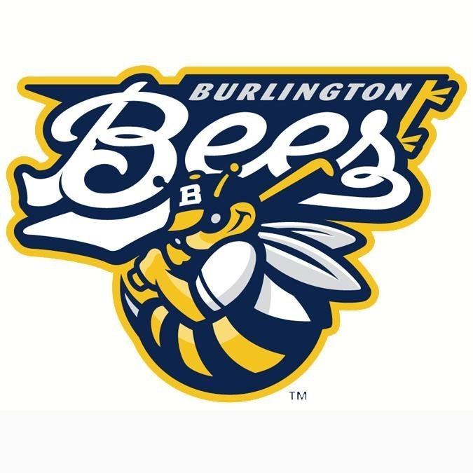 Burlington Bees Burlington Bees BurlingtonBees Twitter