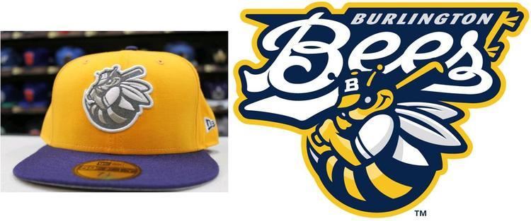 Burlington Bees Burlington Bees Hat