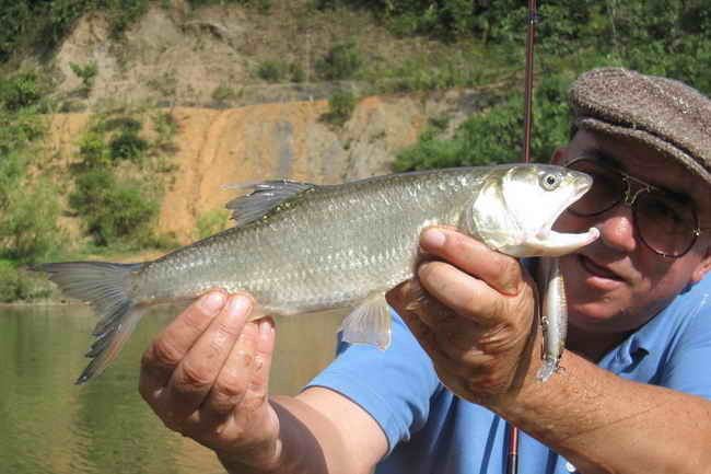 Burmese trout Fishing Adventures Thailand