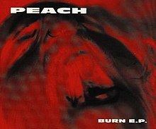 Burn (Peach album) httpsuploadwikimediaorgwikipediaenthumb0