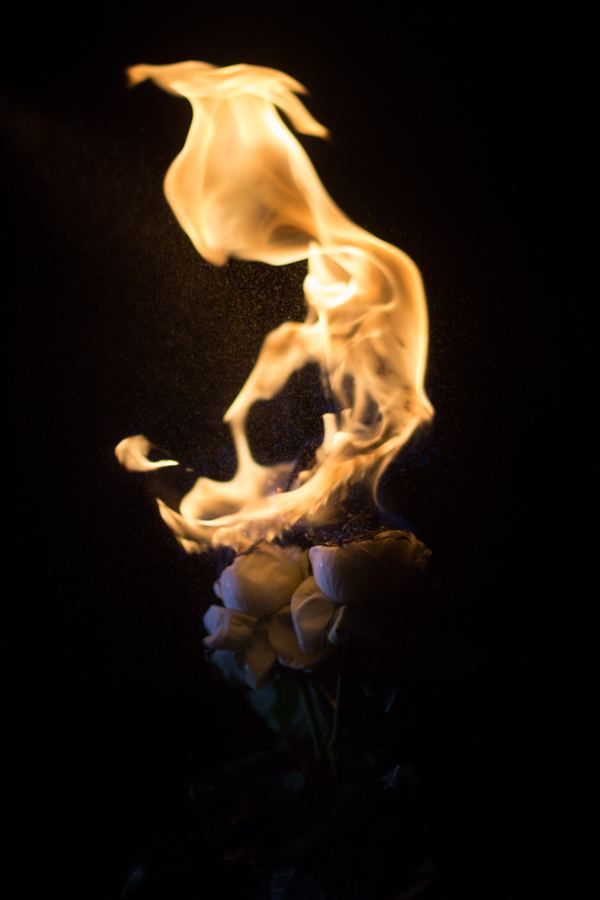 Burning Flowers Photographing burning flowers Ejohse