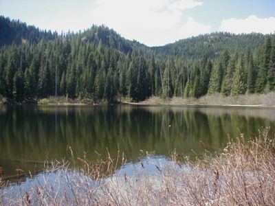 Burnt Lake - Alchetron, The Free Social Encyclopedia