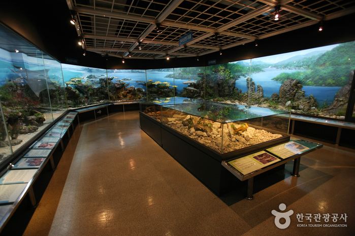 Busan Marine Natural History Museum tongvisitkoreaorkrcmsresource401155340imag