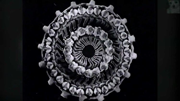 Busby Berkeley Busby Berkeley Going Through the Roof 24 YouTube