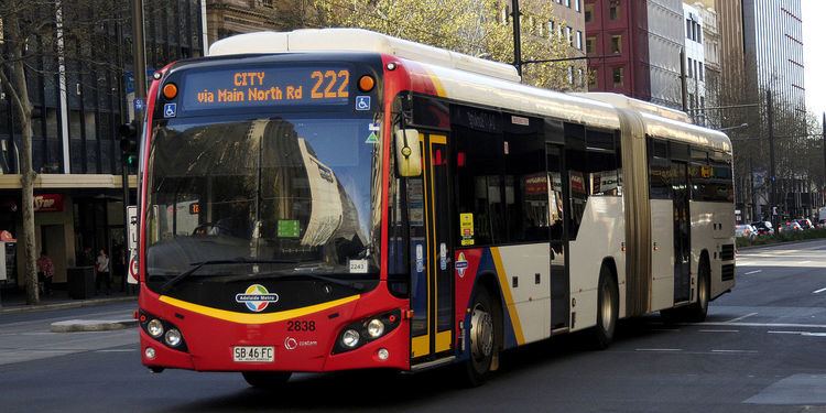 Buses in Adelaide