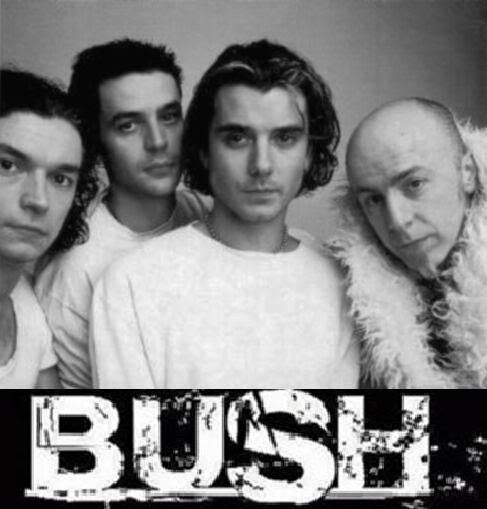 Bush (British band) Bush Band bush is an english rock band post grunge and alternative