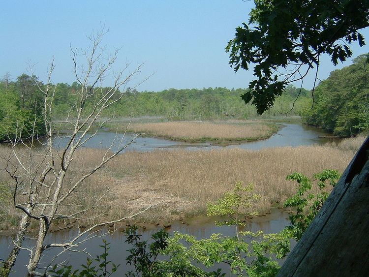 Bush Mill Stream Natural Area Preserve