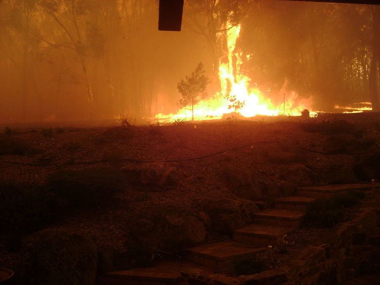 Bushfires in Victoria