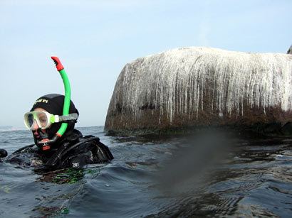 Buskam Discover Rgen Unterwasserwelt am Buskam UrlaubsRanger suchen