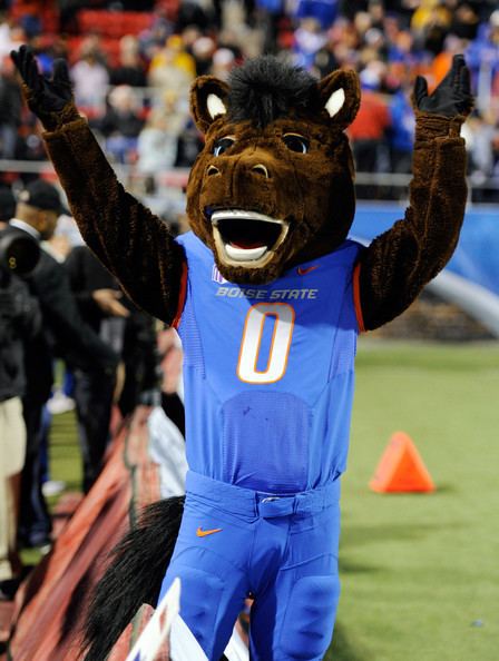 Buster Bronco (Boise State) Boise State Broncos Gear Fooball Jerseys amp TShirts
