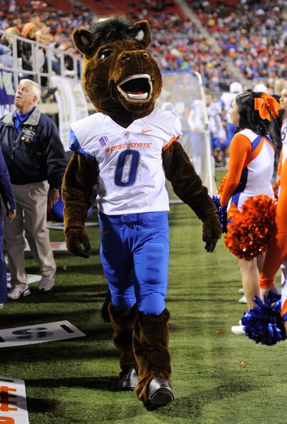 Buster Bronco (Boise State) Buster Bronco Photos Photos Boise State v UNLV Zimbio