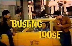 Busting Loose (TV series) httpsuploadwikimediaorgwikipediaenthumb3