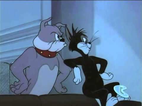 Butch Cat (Tom and Jerry) Cartoon Clip Spike and the Bow Wow YouTube
