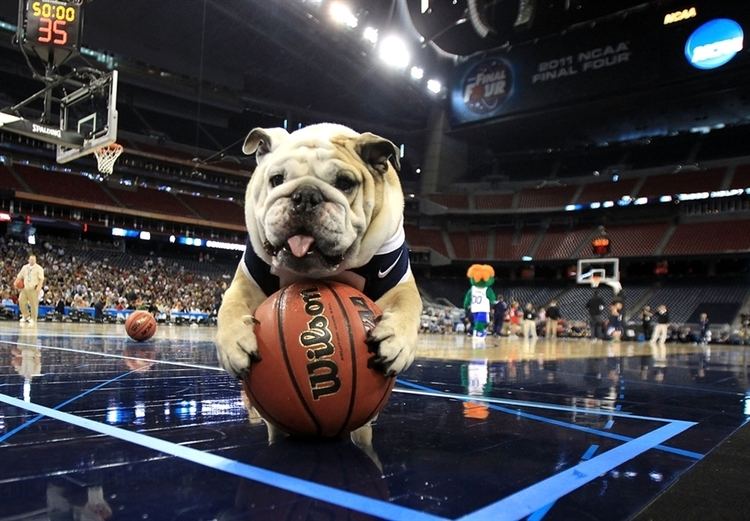 Butler Bulldogs men's basketball Butler University Mascot Pets Pinterest Retirement Butler