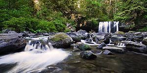 Butte Creek (Oregon) httpsuploadwikimediaorgwikipediacommonsthu