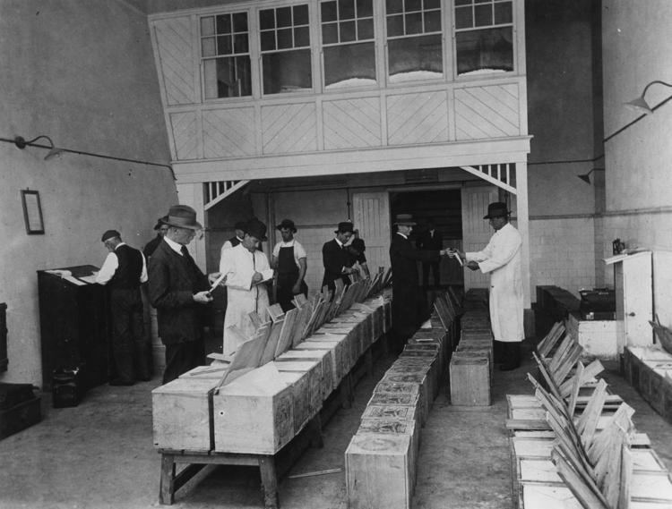 Butter grading