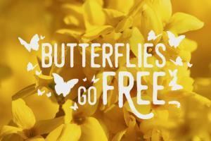 Butterflies Go Free espacepourlaviecasitesespacepourlaviecafiles