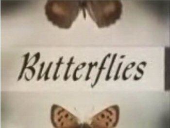 Butterflies (TV series) Butterflies TV series Wikipedia