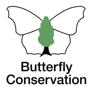 Butterfly Conservation httpsuploadwikimediaorgwikipediaen558But