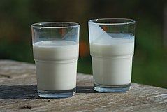 Buttermilk httpsuploadwikimediaorgwikipediacommonsthu