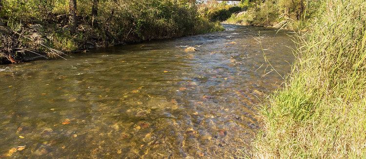 Butternut Creek (Onondaga County) wwwfishonondagacountycomassetsslidebutternut