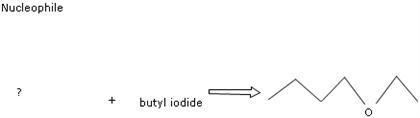 Butyl iodide What Nucleophile Could Be Used To React With Butyl Cheggcom