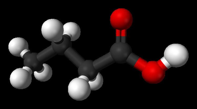 Butyric acid httpsuploadwikimediaorgwikipediacommonsdd