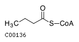 Butyryl-CoA wwwgenomejpFigcompoundC00136gif