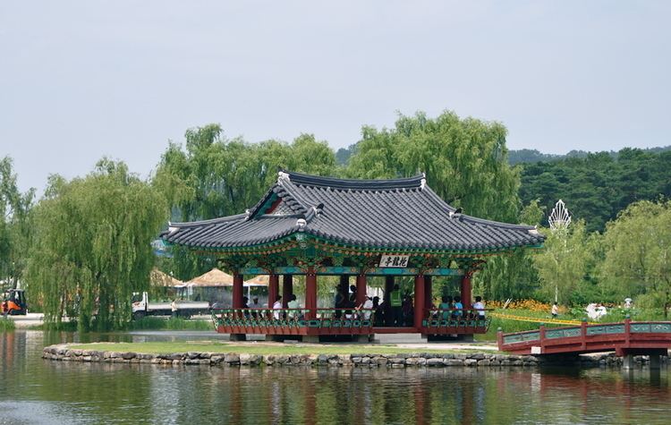 Buyeo Buyeo Seodong Lotus Festival 1 Travelling Cam