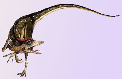Byronosaurus Byronosaurus Dinosaur facts habitat Byronosaurus information