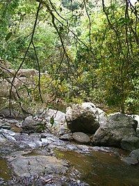 Cañas River (Ponce, Puerto Rico) httpsuploadwikimediaorgwikipediacommonsthu