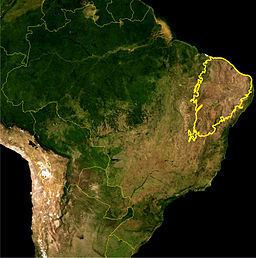 Caatinga httpsuploadwikimediaorgwikipediacommonsthu