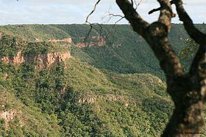Caatinga moist-forest enclaves httpsuploadwikimediaorgwikipediacommonsthu
