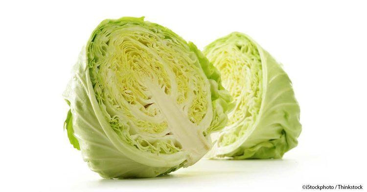 Cabbage What Is Cabbage Good For Mercolacom