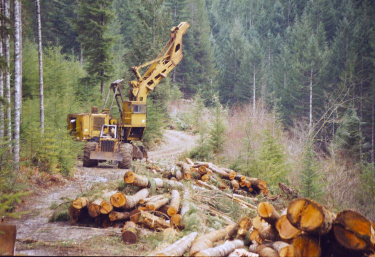 Cable logging